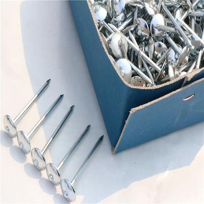 Roofing Nails