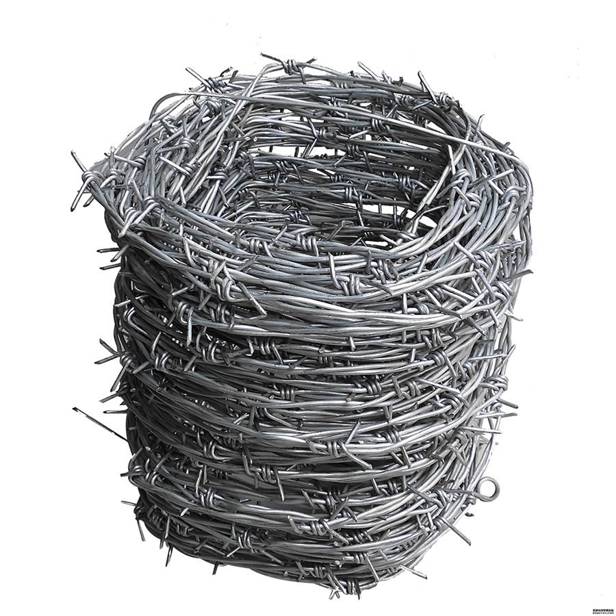 Barbed Wire On Fence -