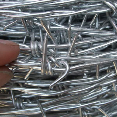 Double Barbed Wire -