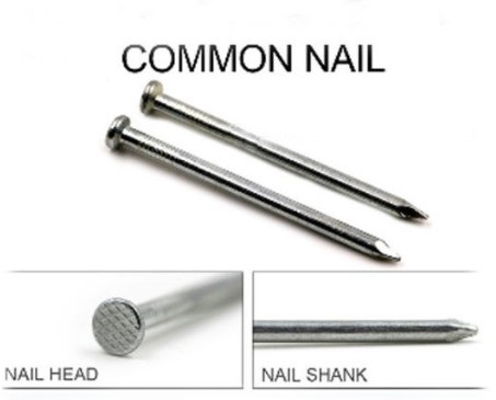 common nails details