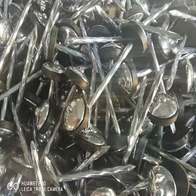 Galvanized Roofing Nail With Washer -